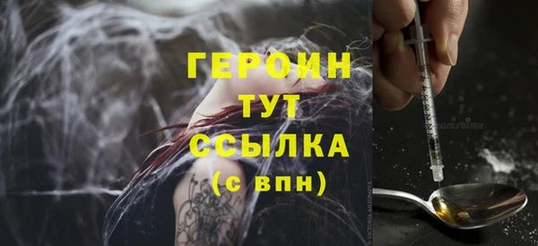 стаф Каменка