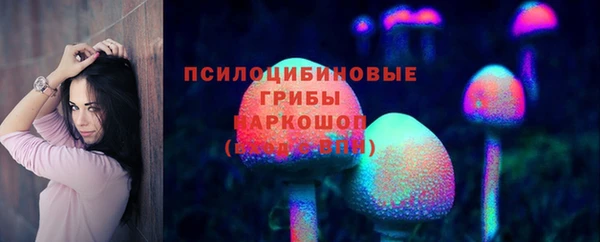 ешки Инта