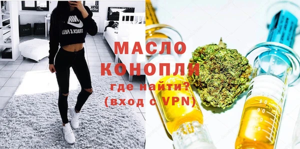 ешки Инта