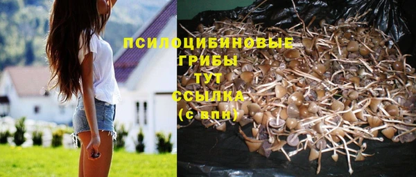 скорость Зеленодольск