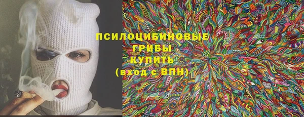 прущая мука Иннополис