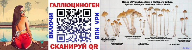 Галлюциногенные грибы ЛСД Каменногорск